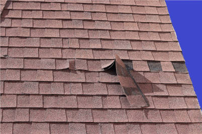 Fremont roof repairs